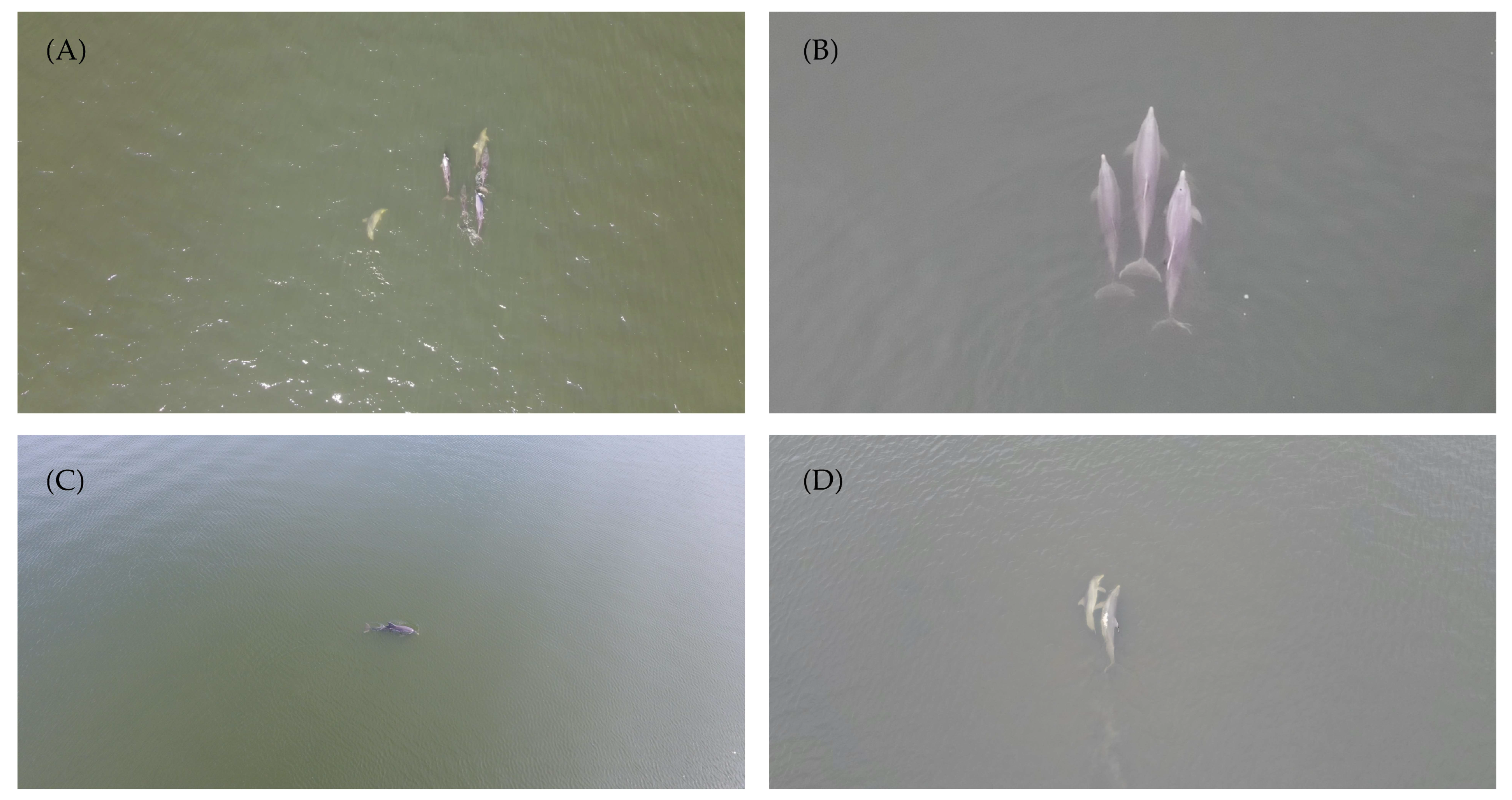 Drones 07 00689 g003 Drones 07 00689 g003