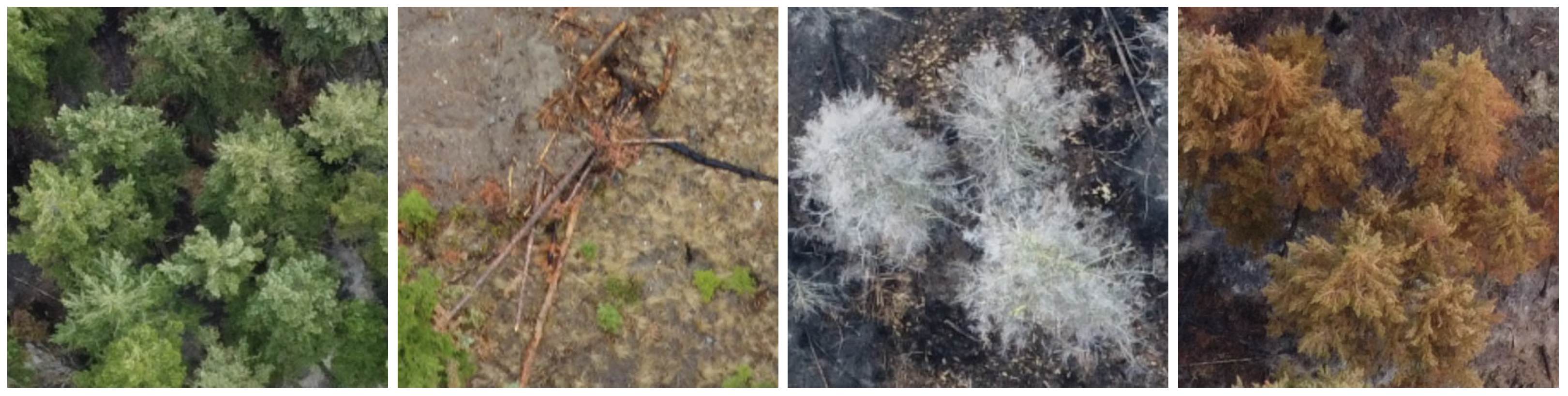 Drones 08 00039 g002