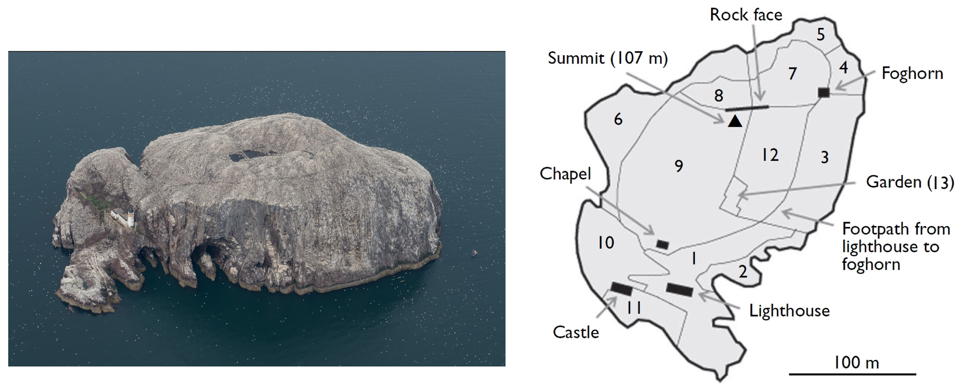 Drones 08 00040 g001