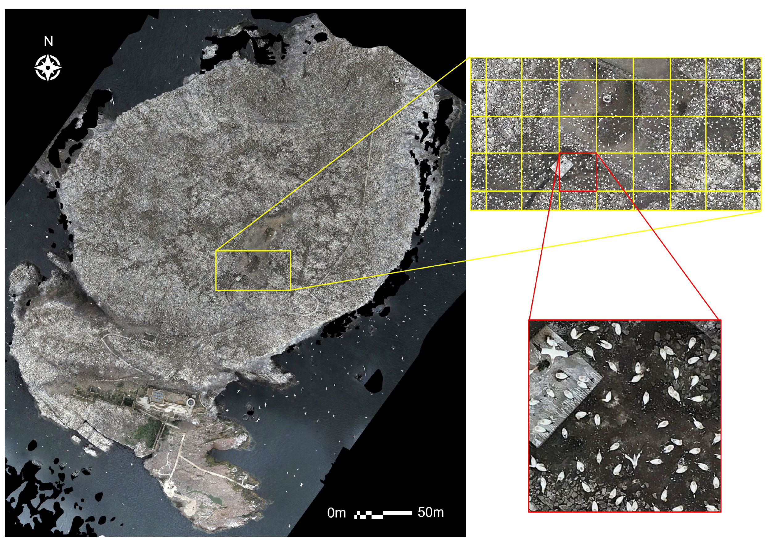 Drones 08 00040 g005