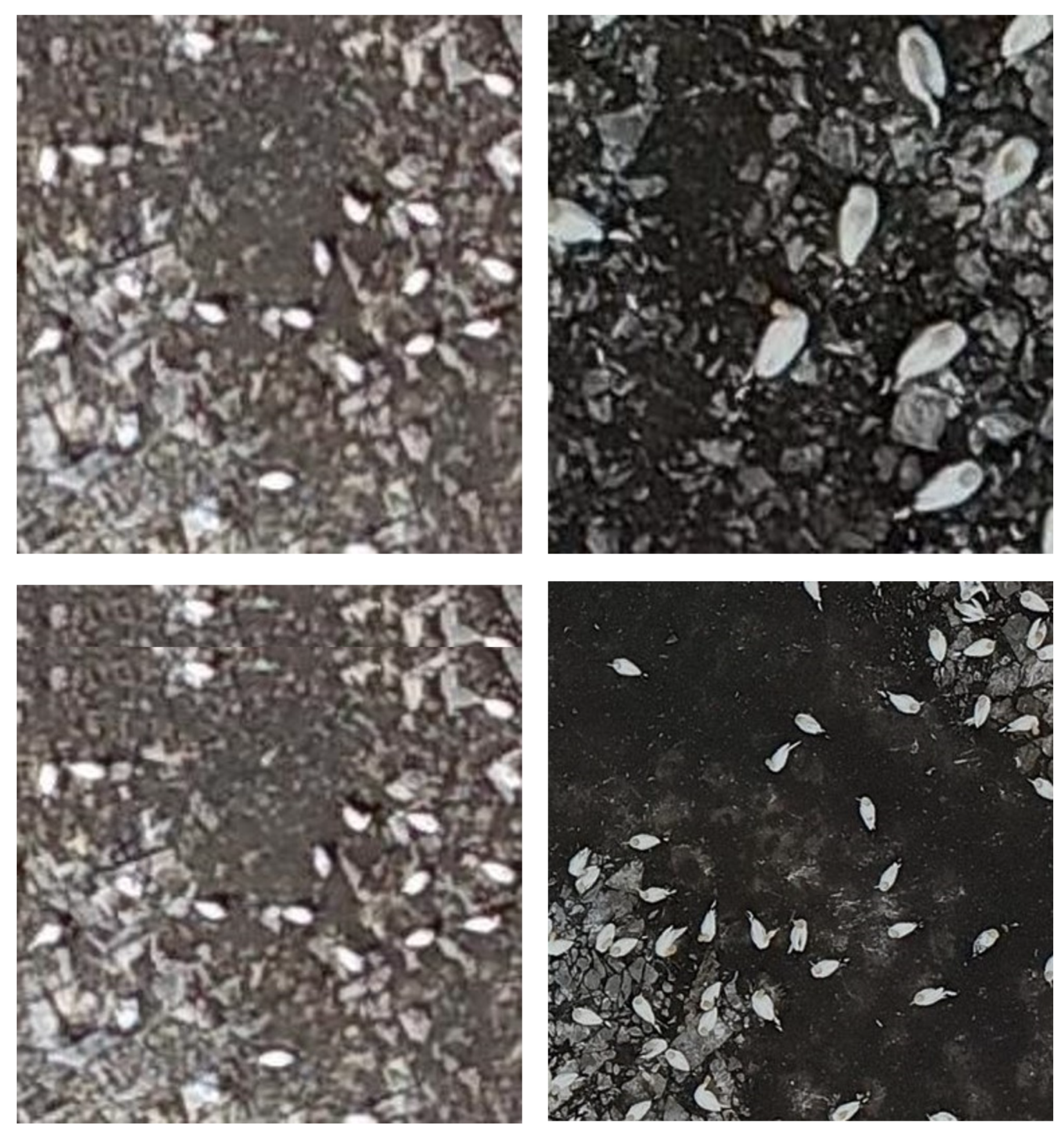 Drones 08 00040 g006