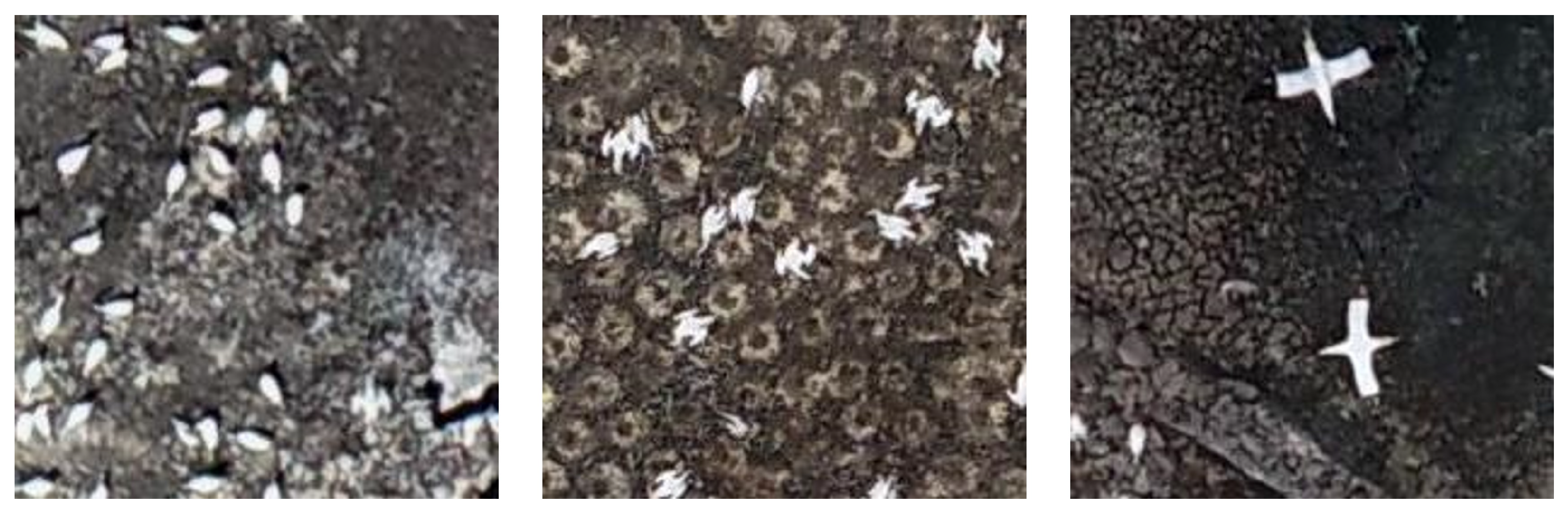 Drones 08 00040 g008