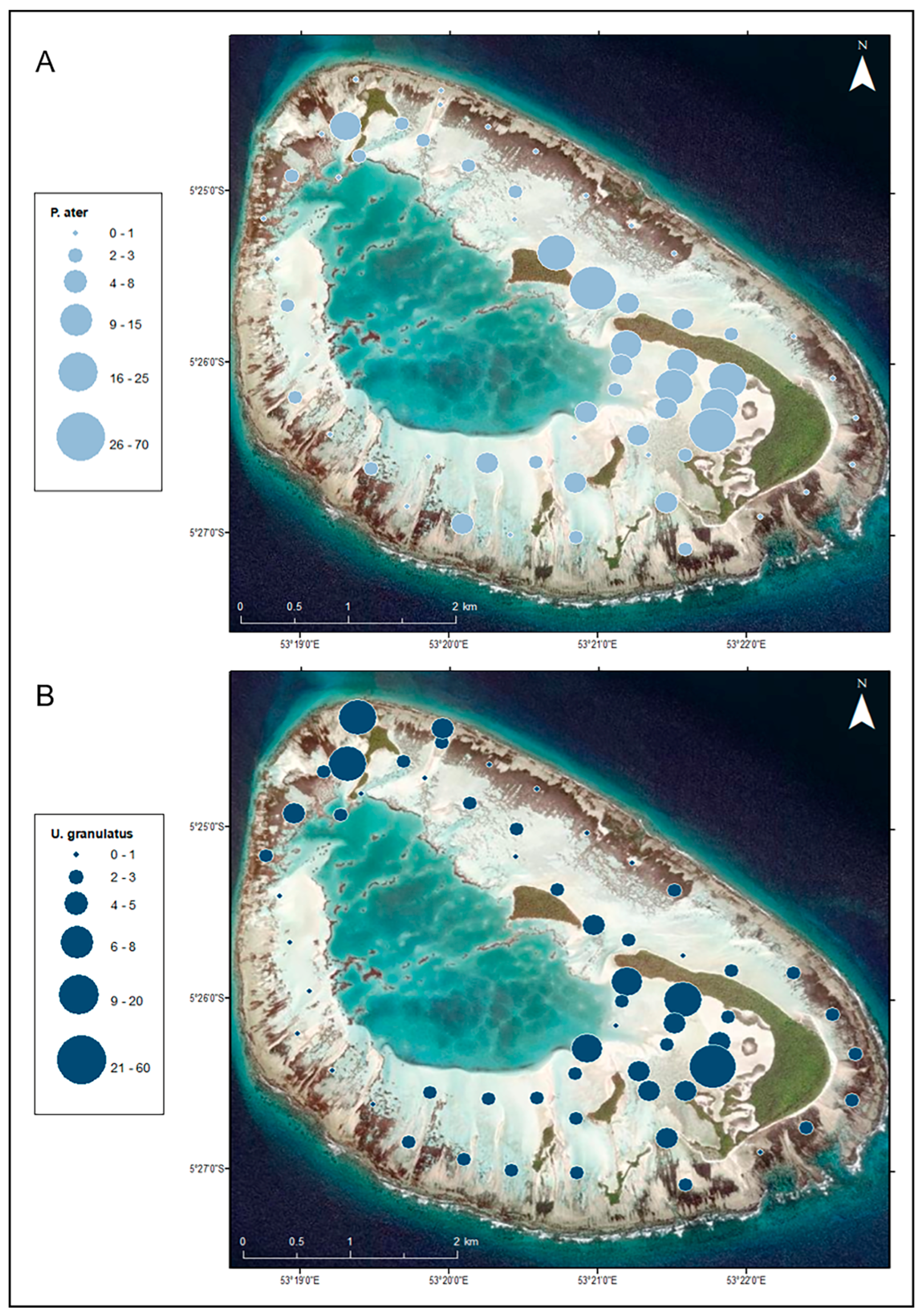 Drones 08 00048 g005
