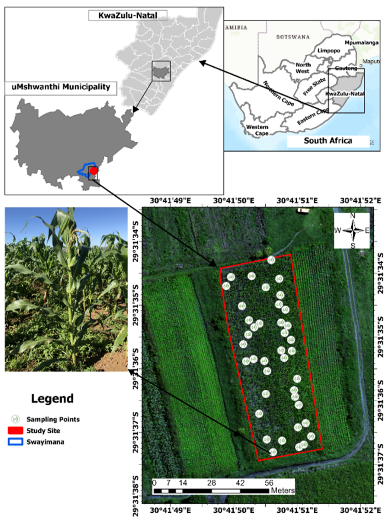 Drones 08 00061 g001