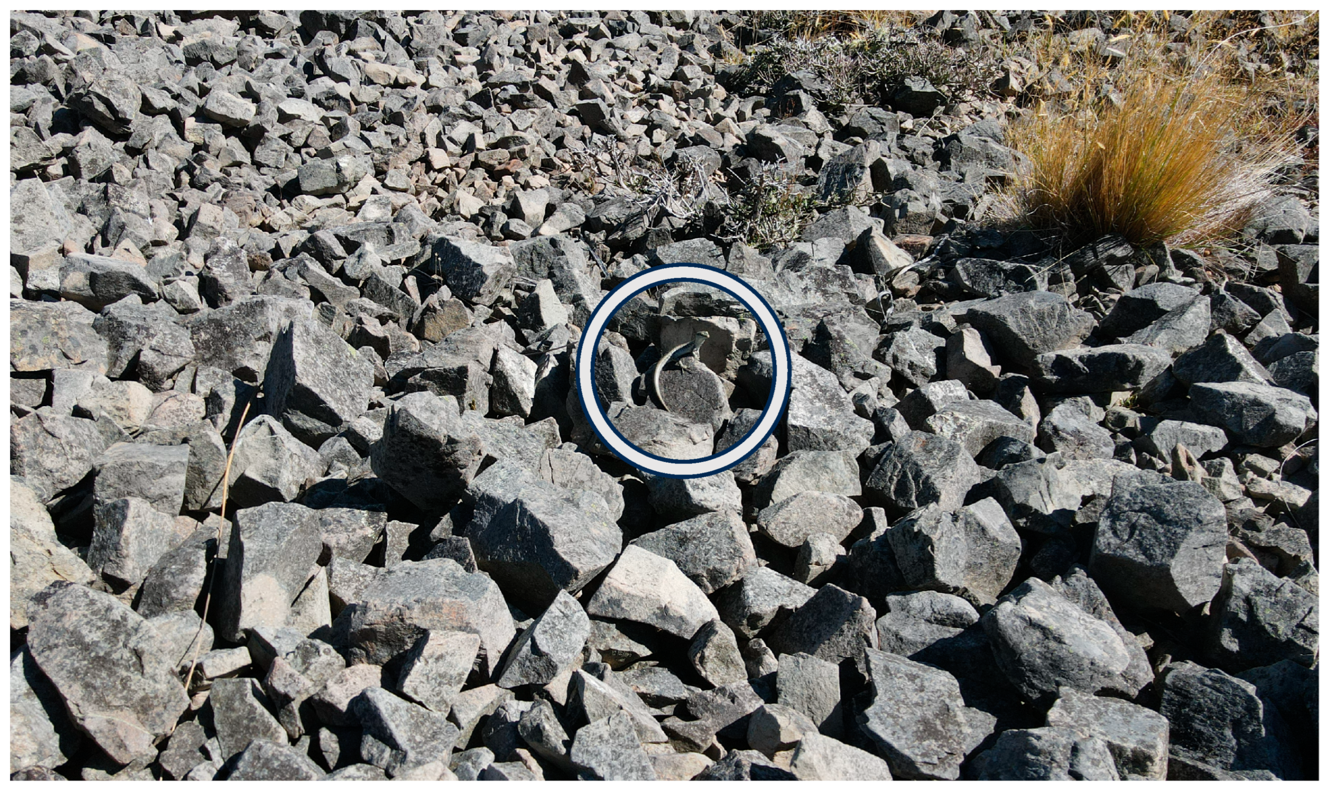 Drones 08 00079 g006