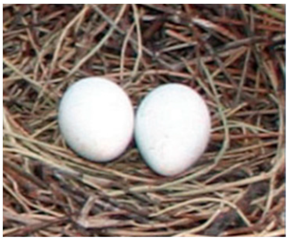 Drones 08 00135 i001