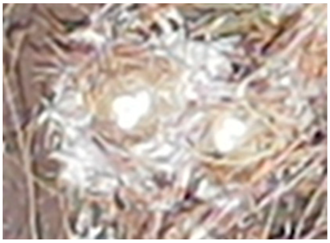 Drones 08 00135 i002