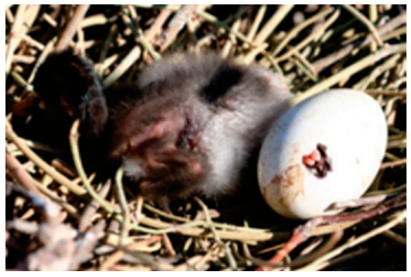 Drones 08 00135 i003