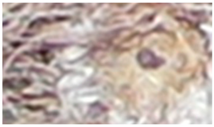 Drones 08 00135 i004