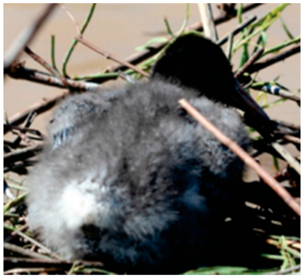 Drones 08 00135 i005