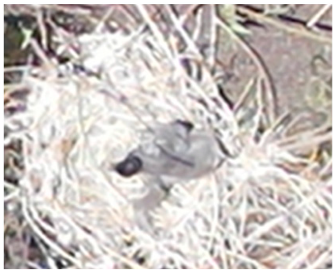 Drones 08 00135 i006