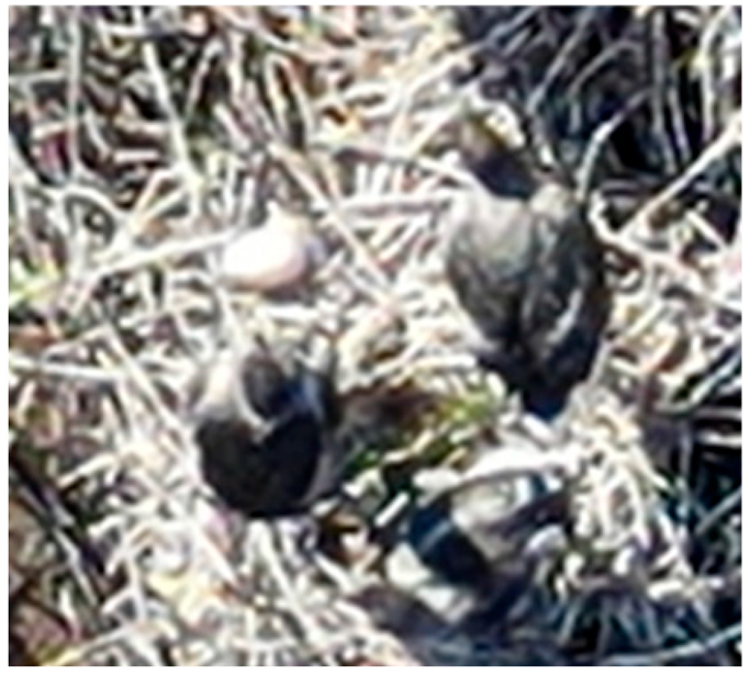 Drones 08 00135 i008