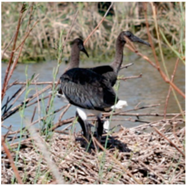 Drones 08 00135 i009