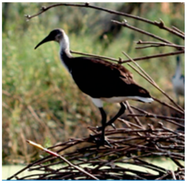 Drones 08 00135 i011