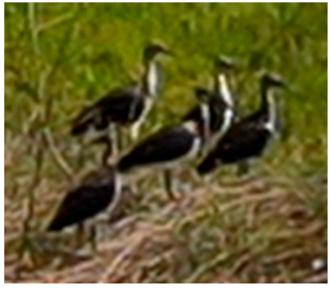 Drones 08 00135 i012