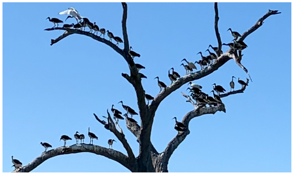 Drones 08 00135 i013