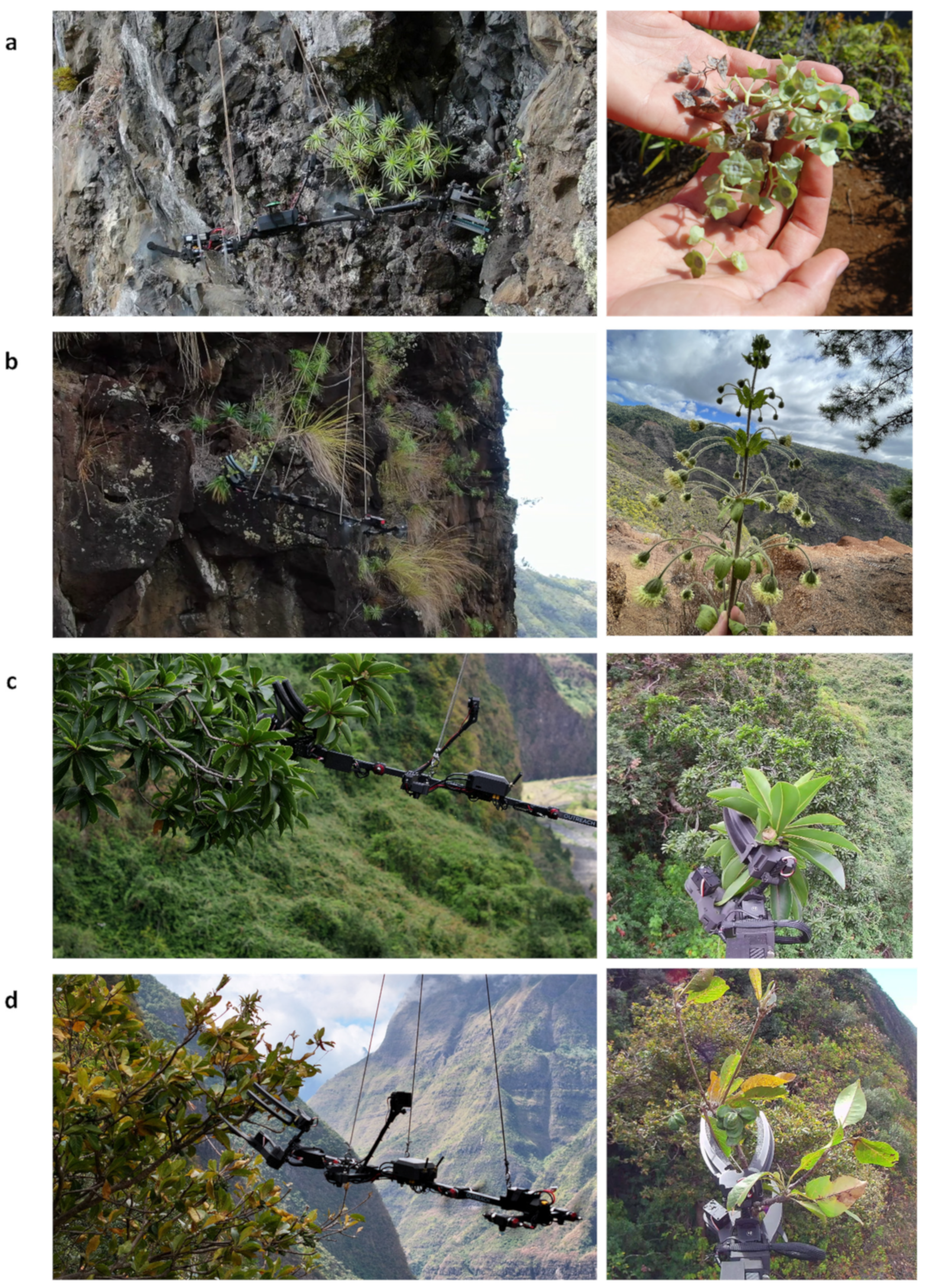 Drones 08 00139 g010