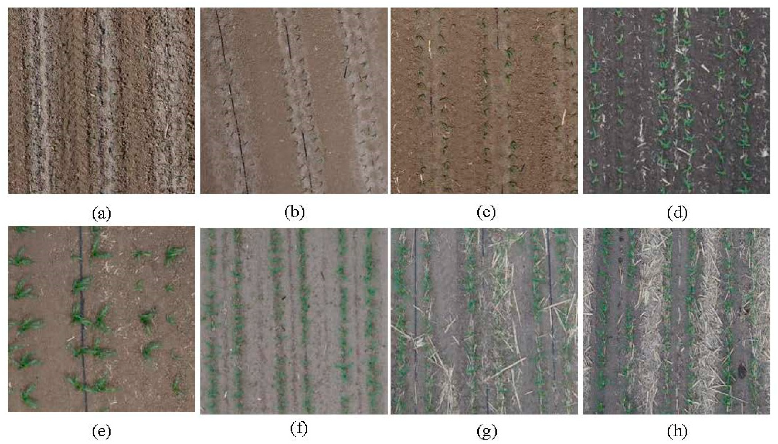 Drones 08 00175 g003