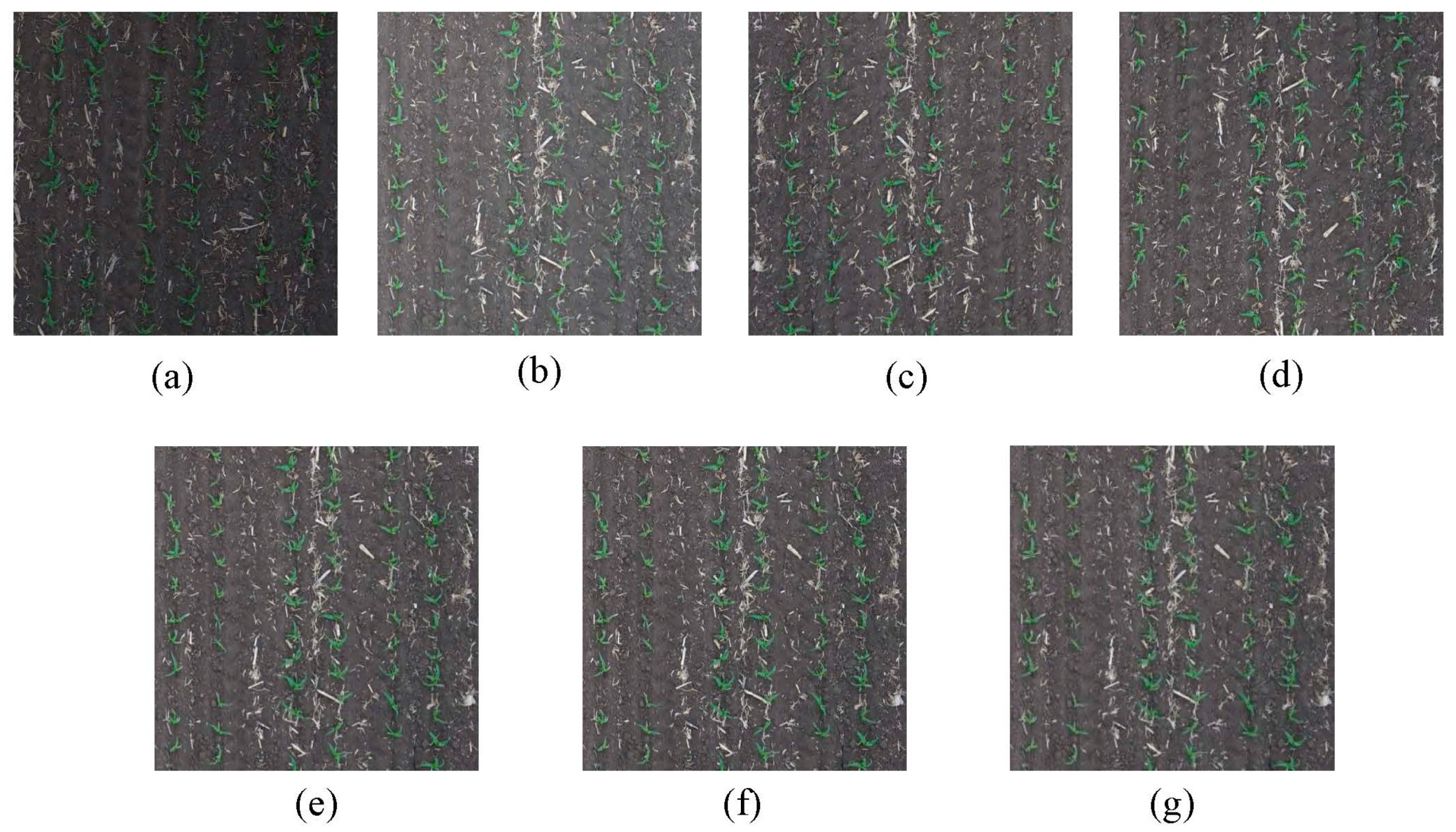 Drones 08 00175 g004