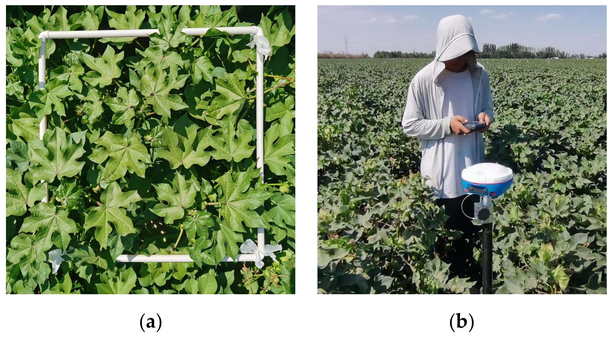 Drones 08 00176 g004