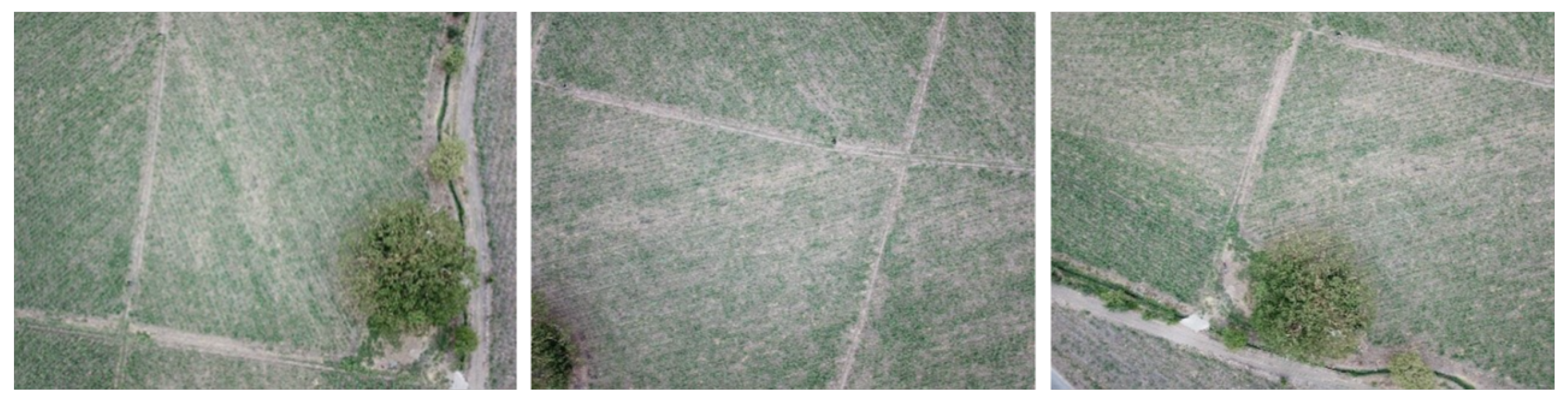 Drones 08 00195 g011