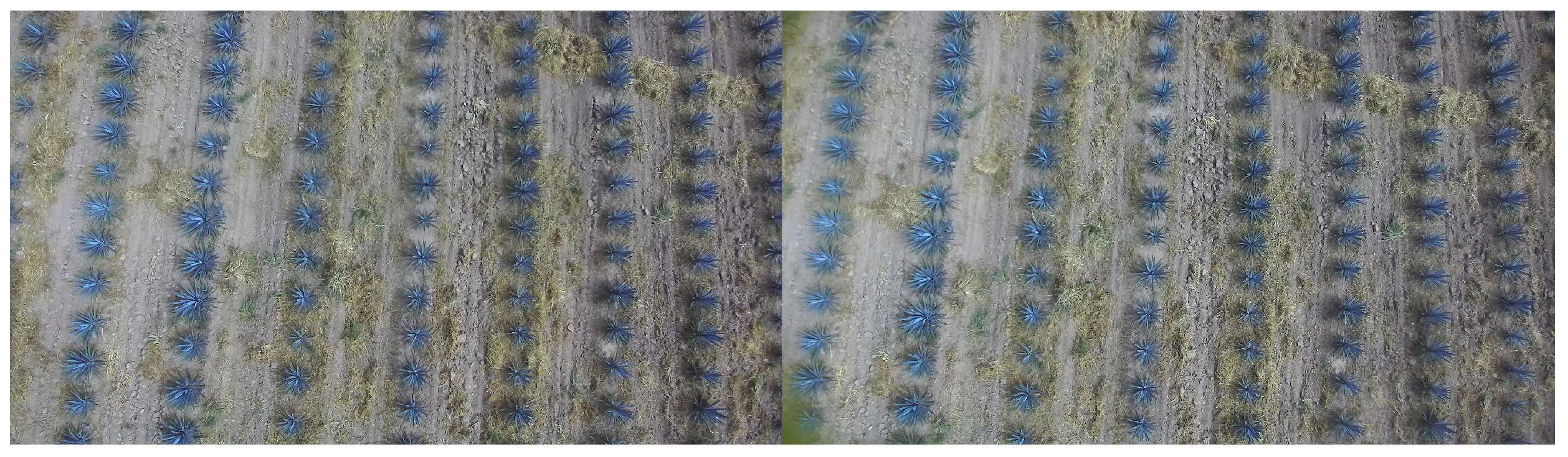 Drones 08 00195 g012