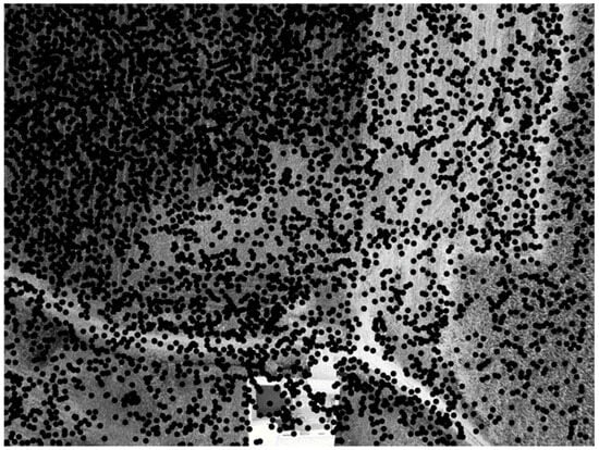 Drones 08 00195 g0a2