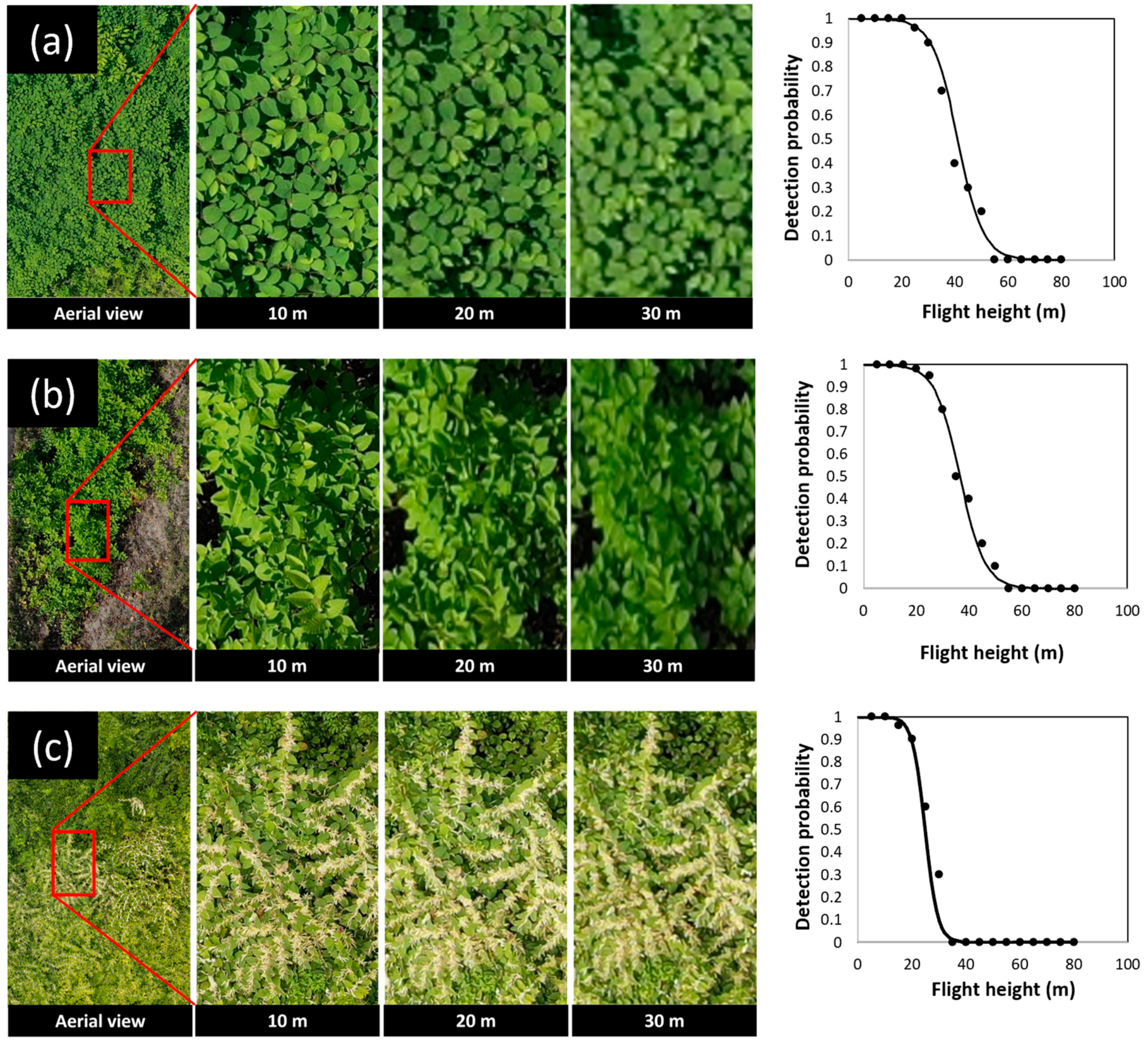 Drones 08 00293 g005