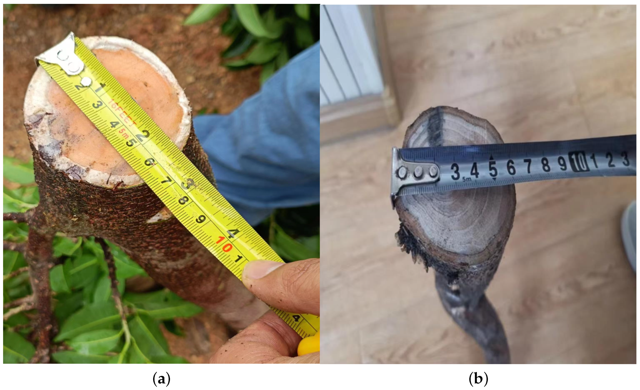 Drones 08 00328 g028