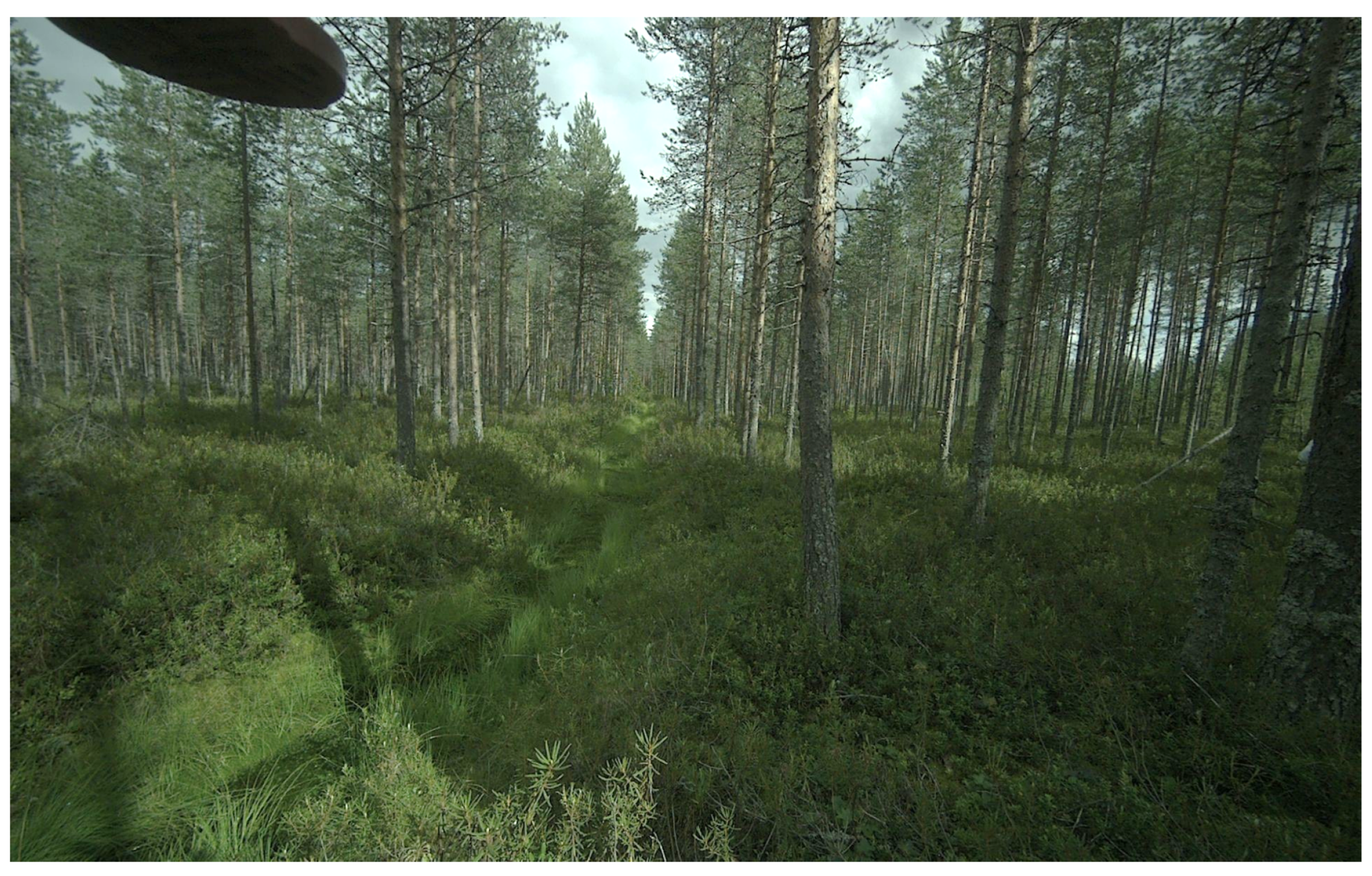 Drones 08 00577 g005