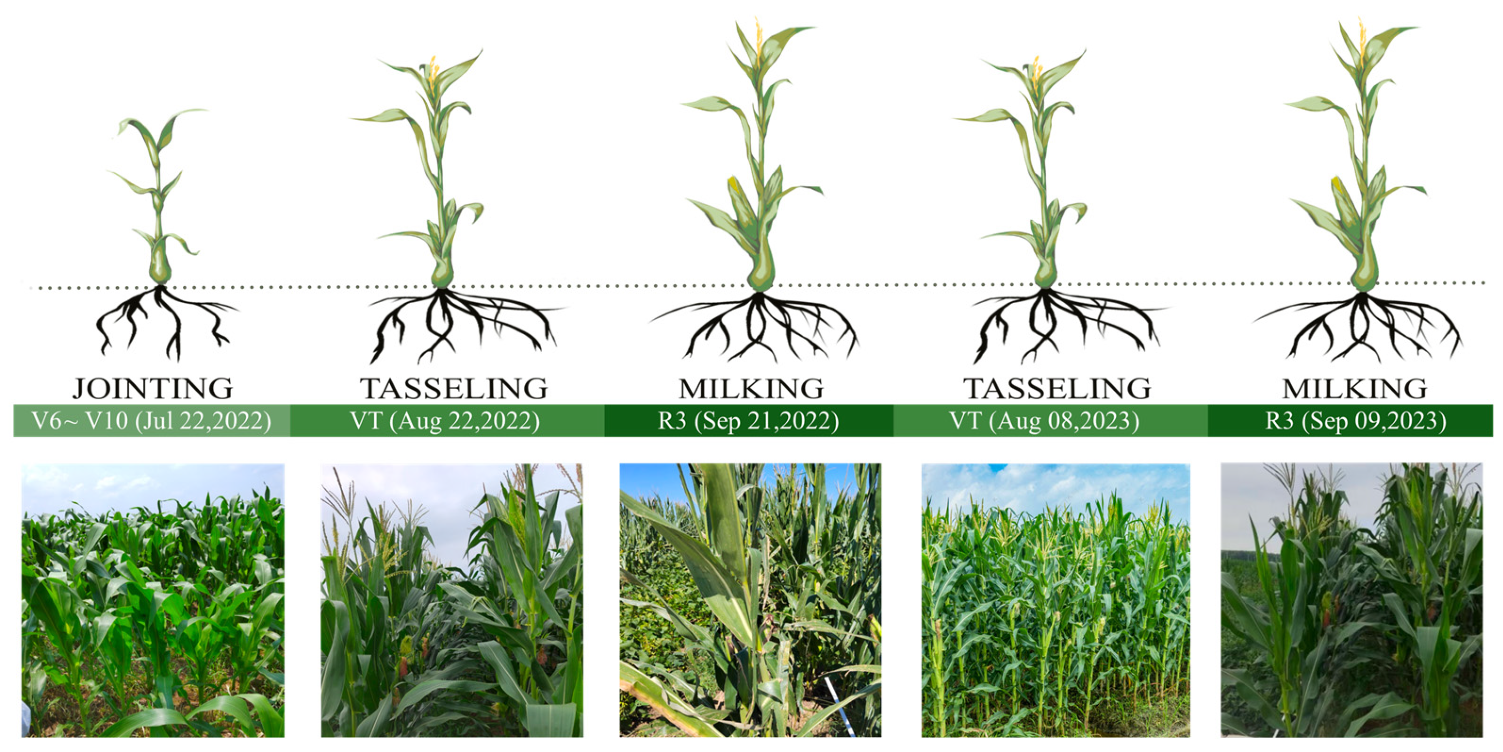 Drones 08 00783 g003