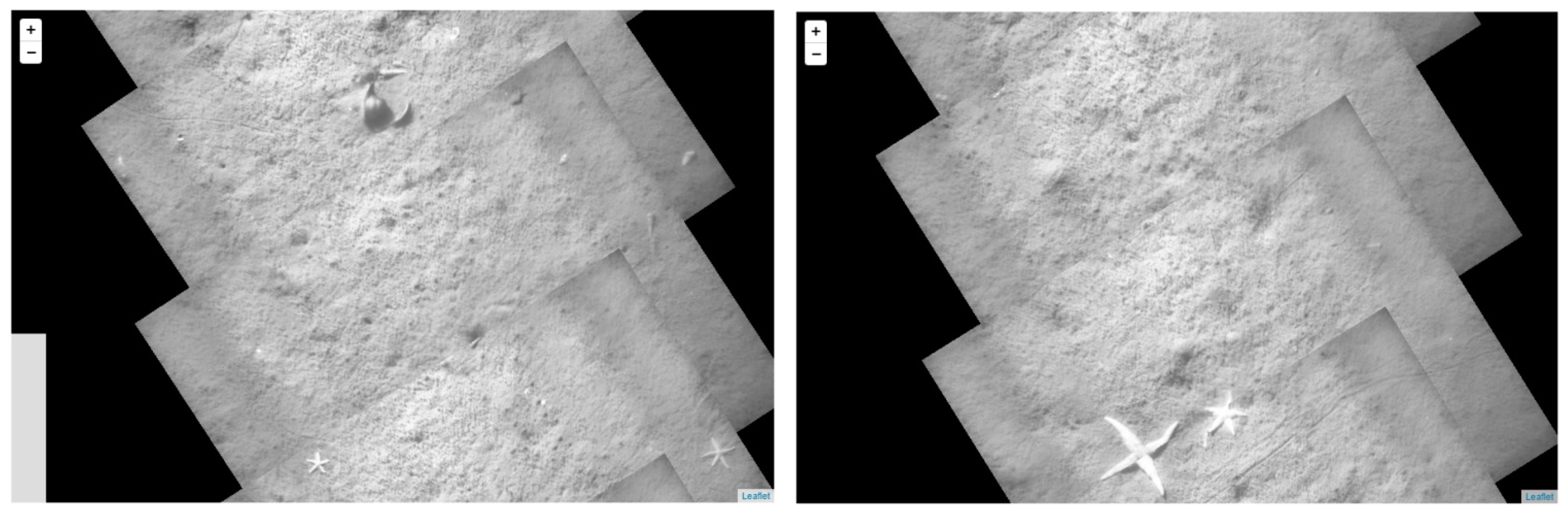 Drones 09 00114 g008