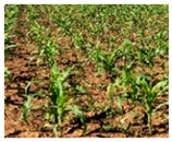 Drones 09 00192 i001