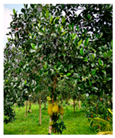 Drones 09 00237 i002