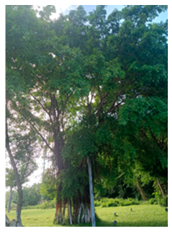 Drones 09 00237 i003