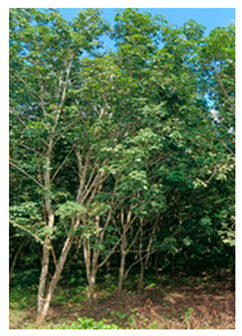 Drones 09 00237 i004