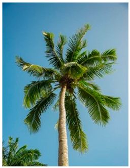 Drones 09 00237 i005