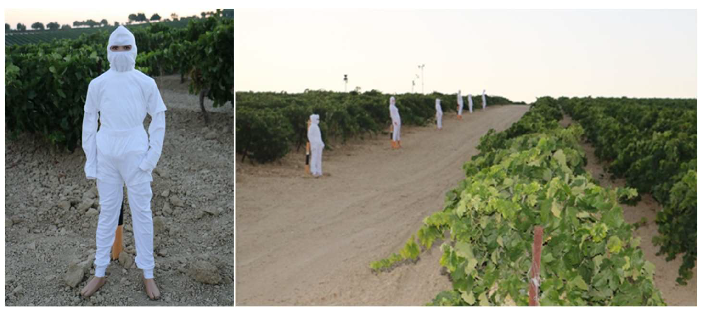 Drones 09 00345 g003