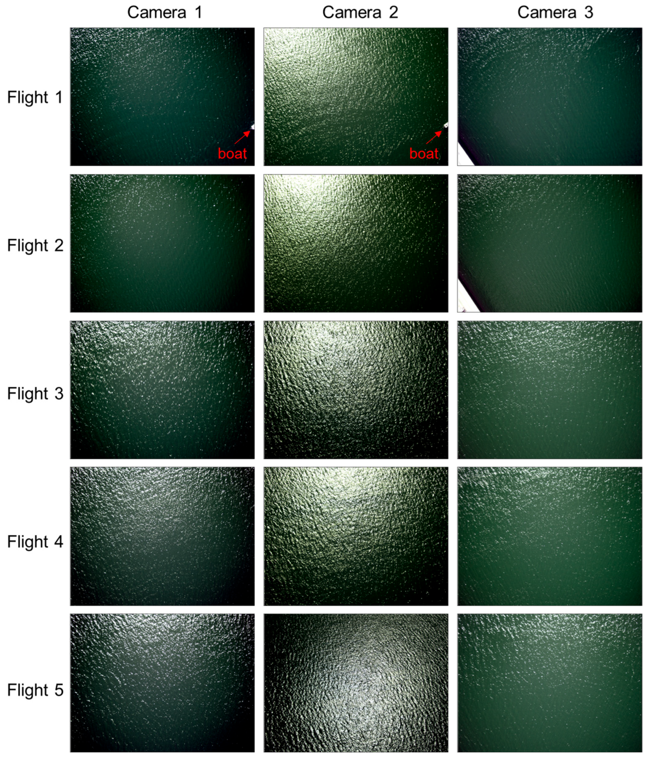 Drones 09 00400 g002