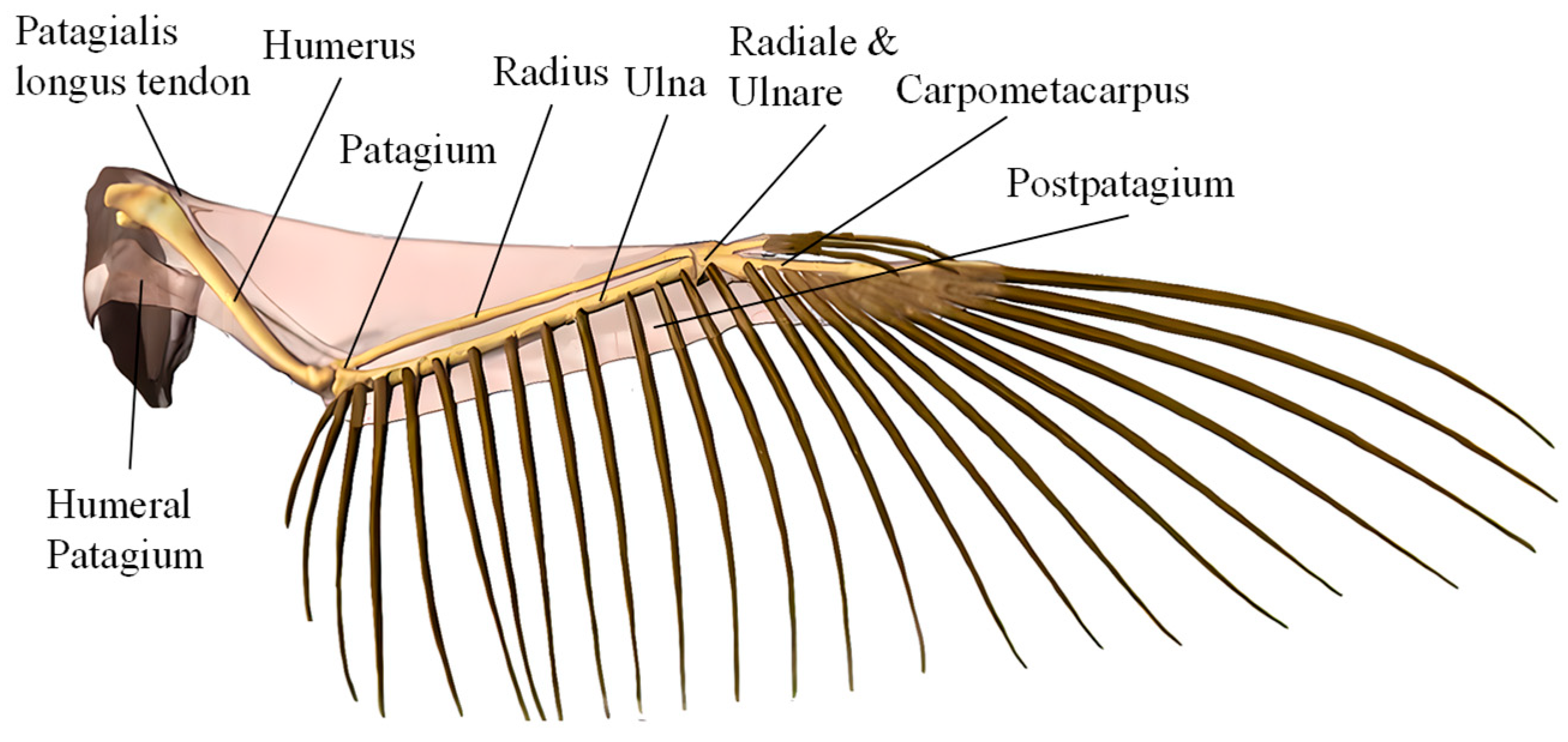 Drones 09 00535 g001