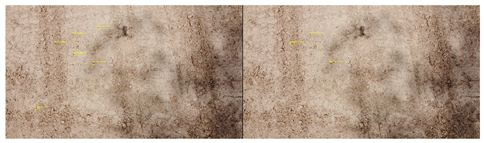 Drones 09 00547 i001