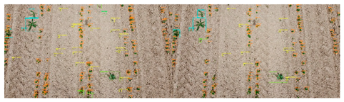 Drones 09 00547 i005