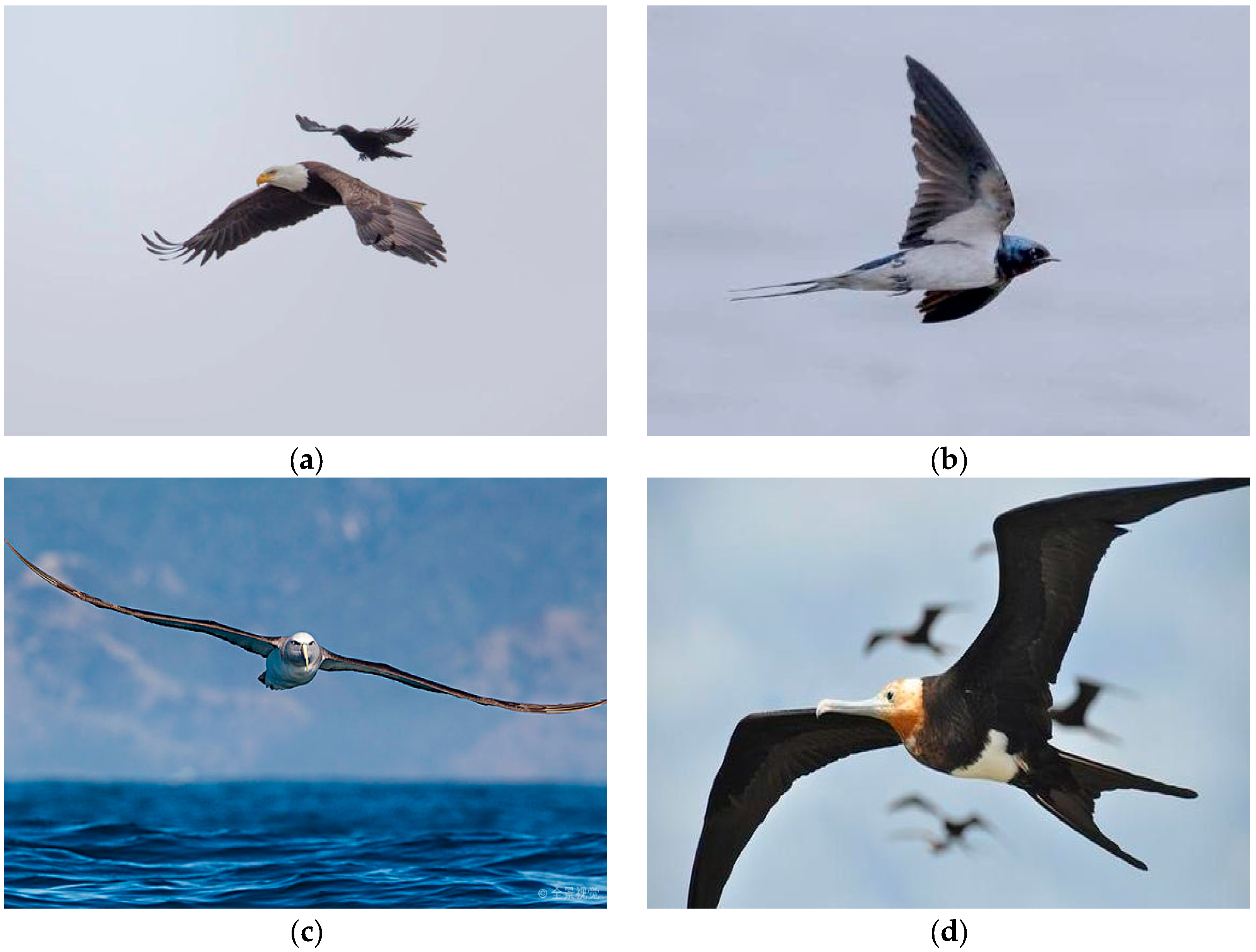 Drones 10 00062 g002