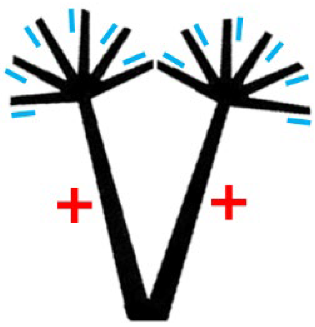 Dynamics 03 00013 g004