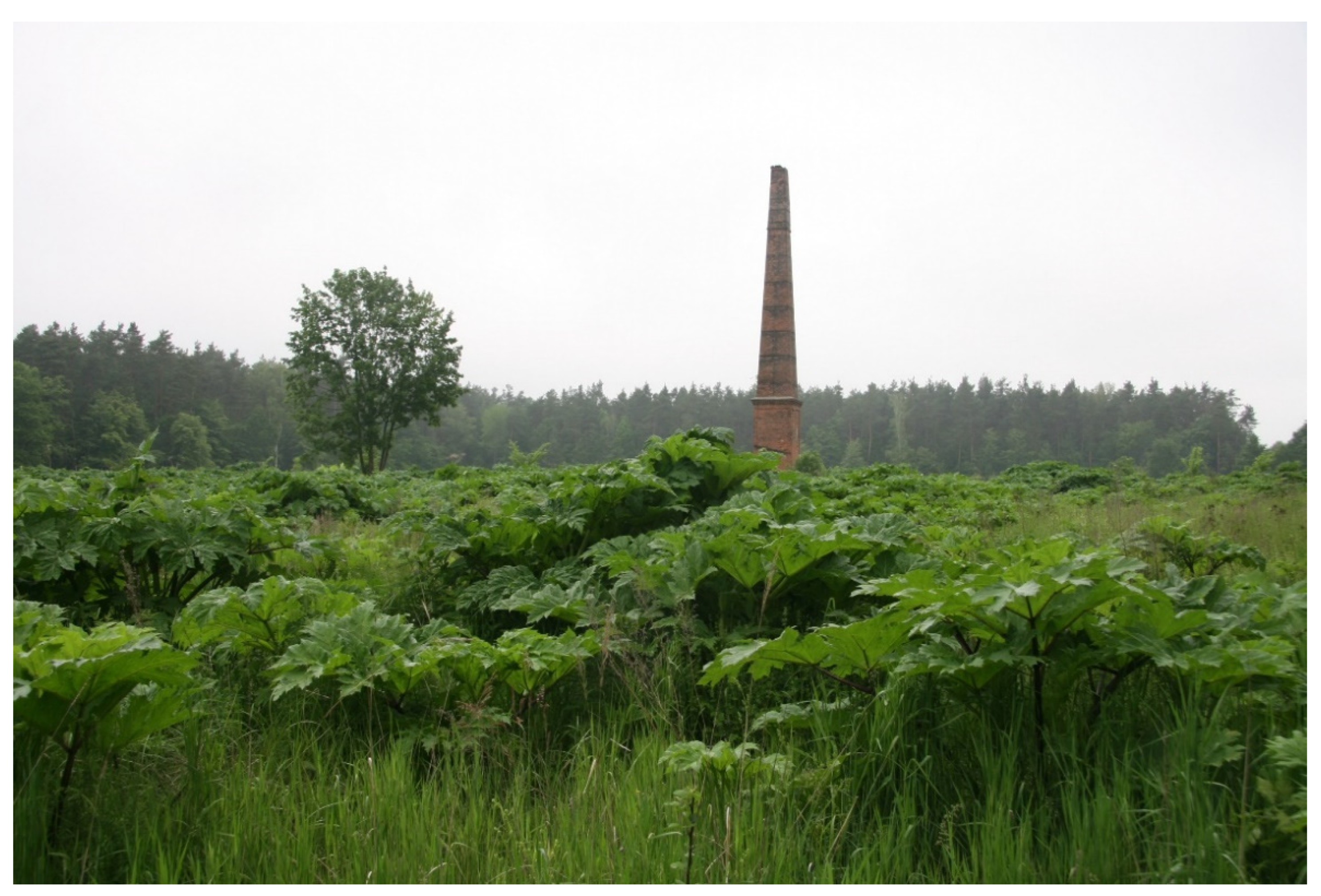 Earth 03 00018 g003 Earth 03 00018 g003