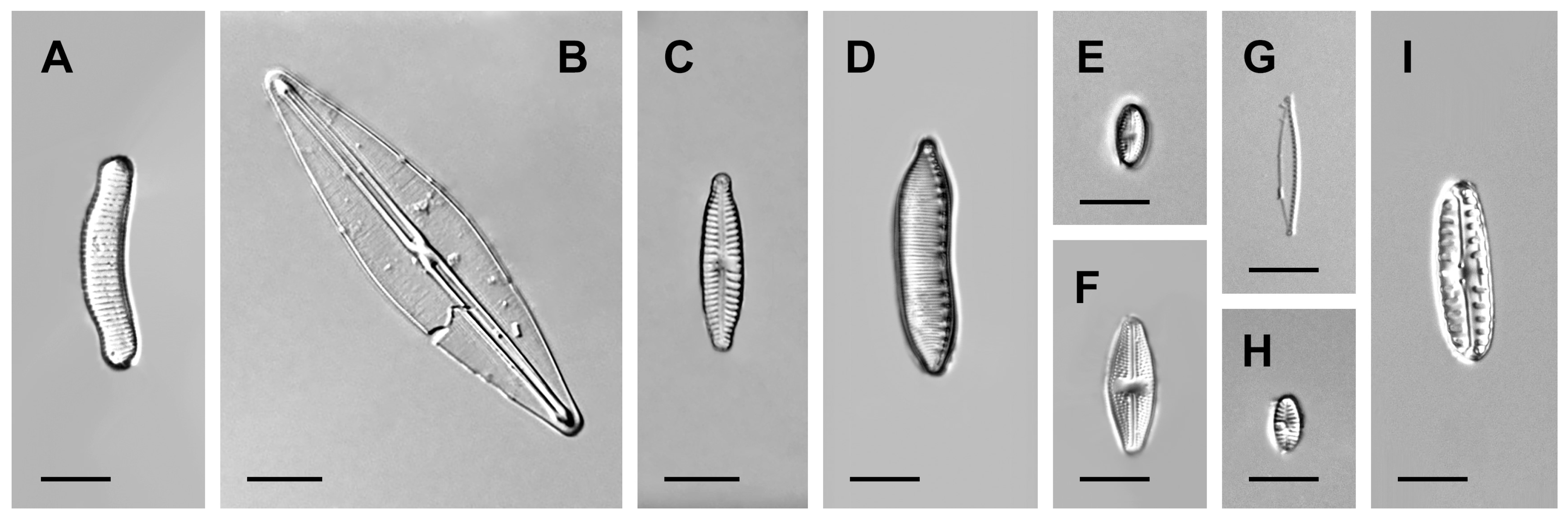 Earth 04 00011 g002 Earth 04 00011 g002