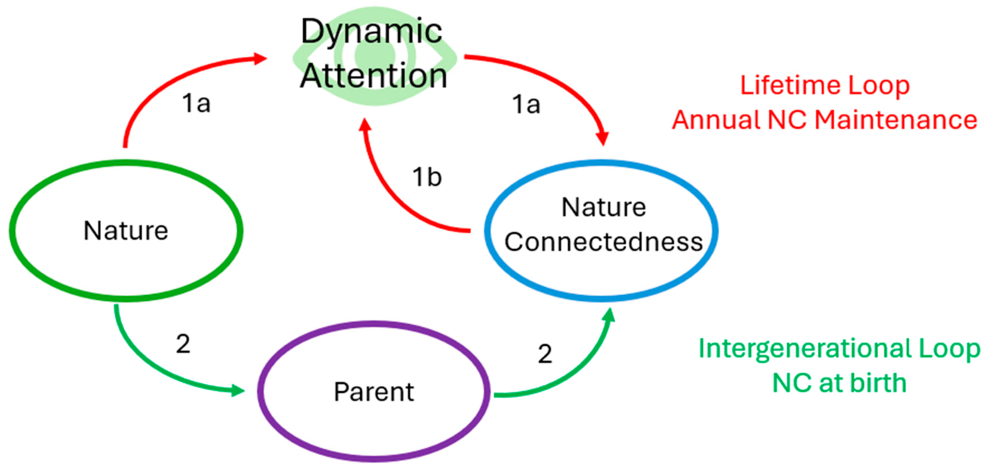Earth 06 00082 g001 Earth 06 00082 g001