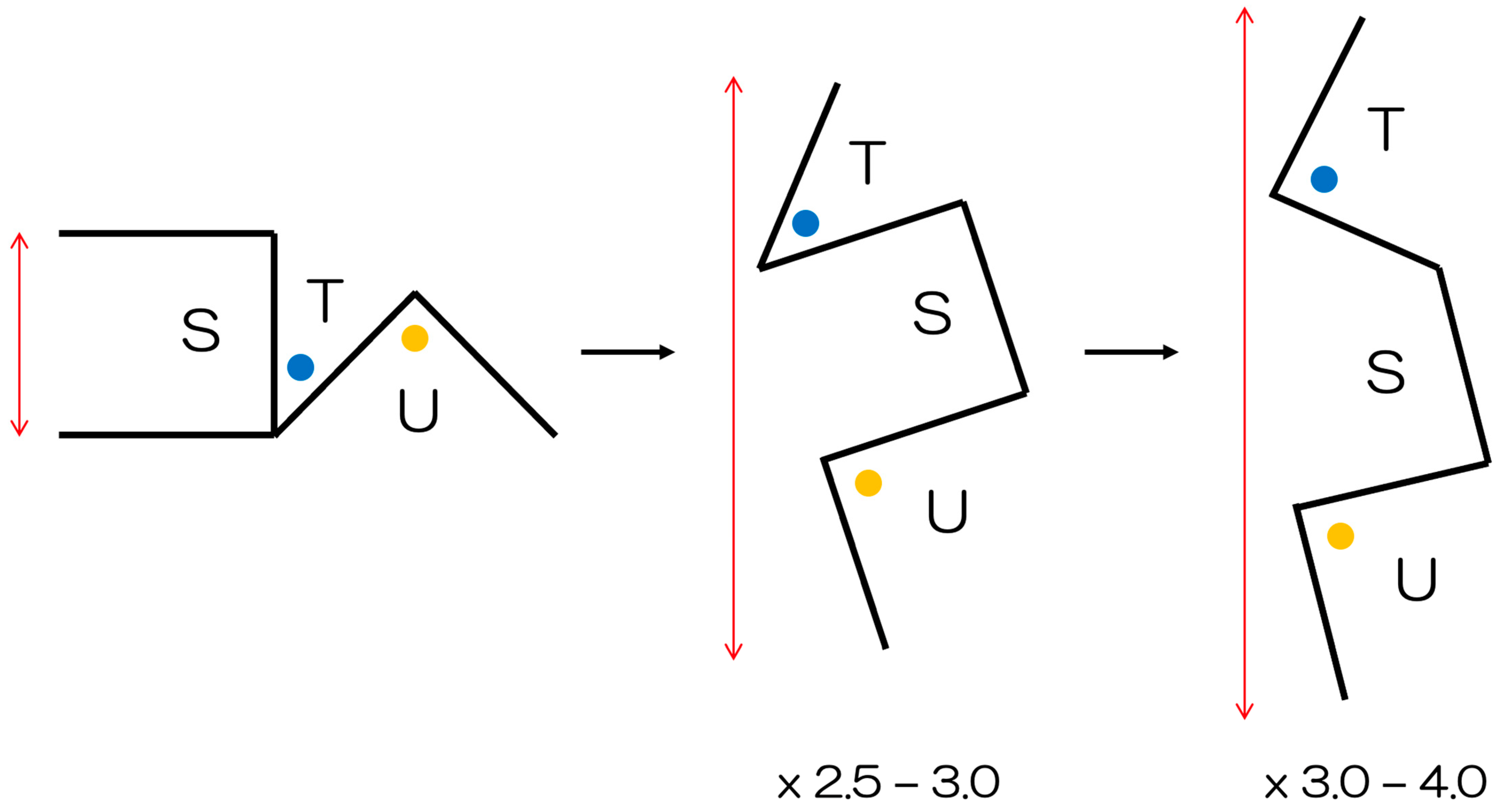 Ebj 04 00034 g001