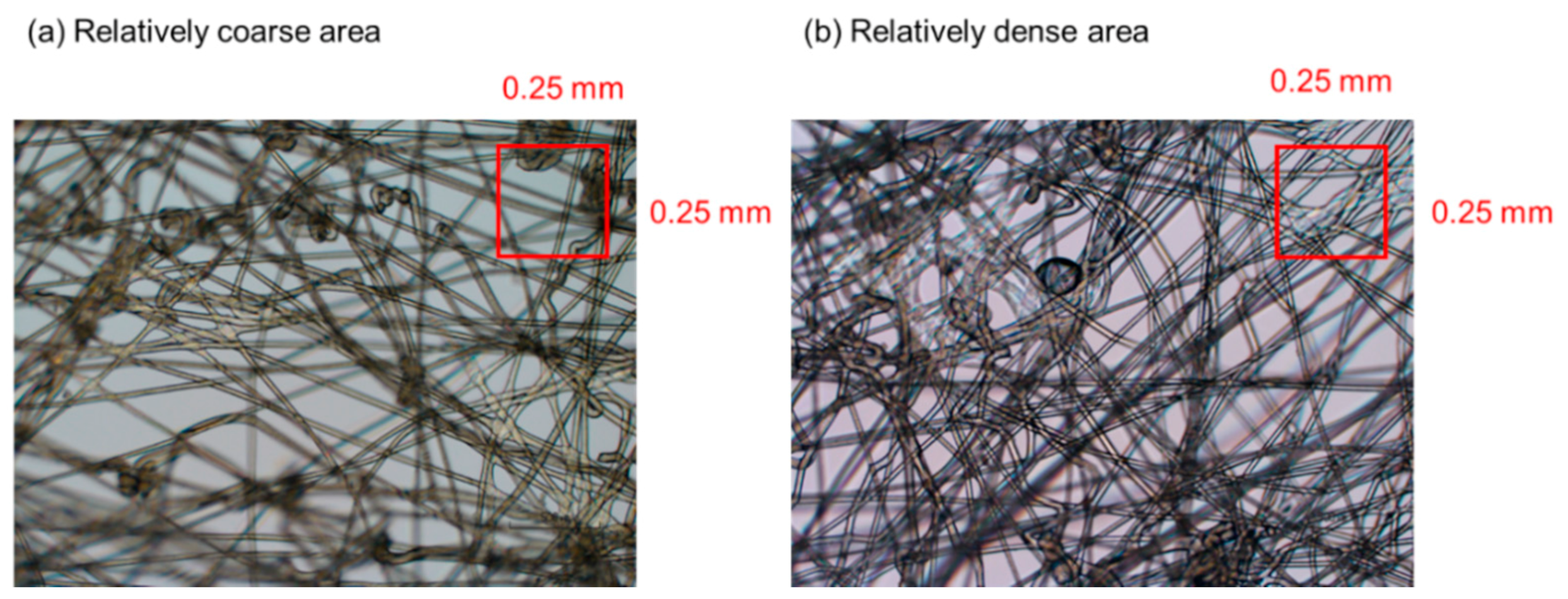 Ecologies 02 00010 g0a1 Ecologies 02 00010 g0a1