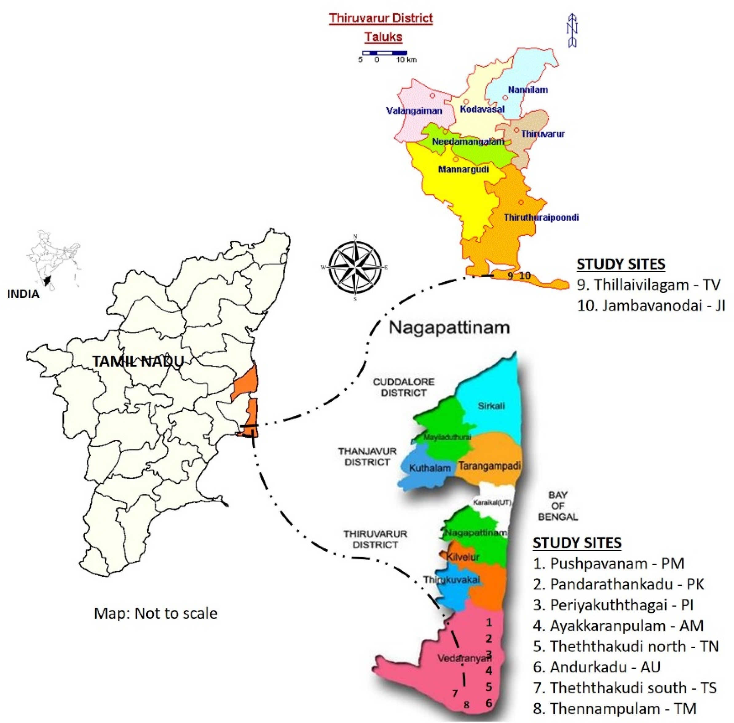 Ecologies 02 00015 g001 Ecologies 02 00015 g001
